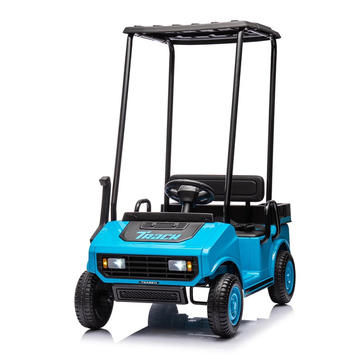 24V Ride on Car, Electric Golf Cart with Ceiling, Ride on Truck with Remote Control, Music, Rear Storage Box, Electric Car for Boys Girls Age 3+, 18.5" Large Seat with Armrests,Blue