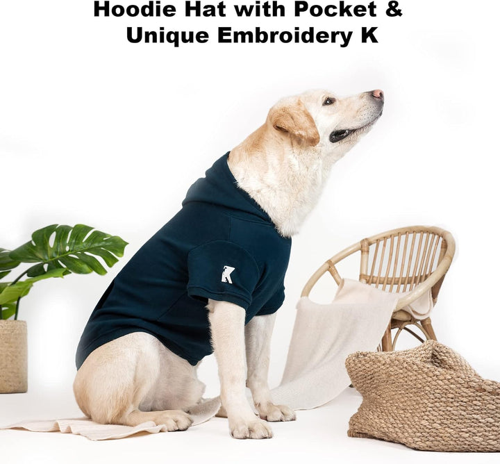 Dog Hoodie Fleece Puppy Clothes Warm Sweater with Hat for Small Medium Dogs Cat Hooded Shirt Kitten Pet Basic Sweatshirt with Pocket Doggie Soft Winter Coat Apparel (Blue; 2XL)