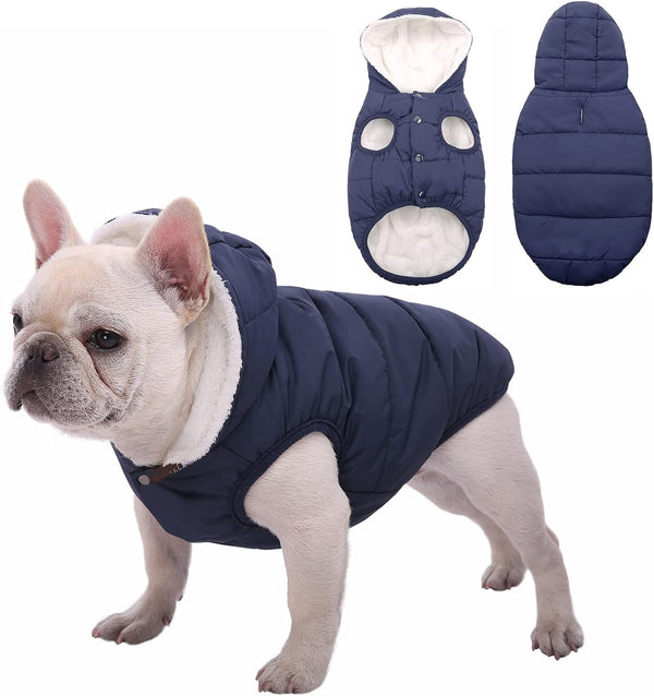 Dog Fleece Hoodie, Windproof Waterproof Dog Coat Fleece & Cotton Lined Warm Dog Jacket, Cold Weather Pet Apparel Clothes Vest for Small Medium Large Dog (M: Length 12.6", Chest 15"-17.3", Blue)